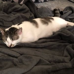 Meet your Posher, Amber